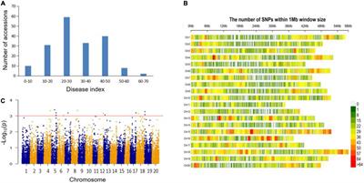 Genome-Wide Association Analysis and Gene Mining of Resistance to China Race 1 of Frogeye Leaf Spot in Soybean